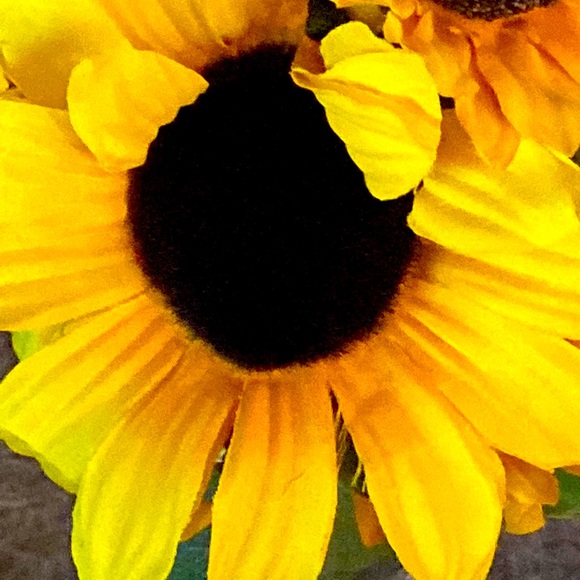 7 Days left before CLOSET CLOSES - Picture 1 of 1